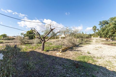 Landejendom i Busot, Alicante, Busot - € 229.000 | Ref: 09a756e7-0063-461e-9 - foto 19