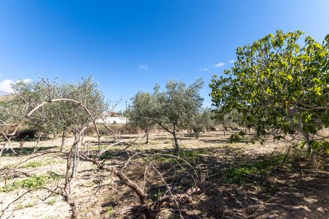 Landejendom i Busot, Alicante, Busot - € 229.000 | Ref: 09a756e7-0063-461e-9 - foto 25
