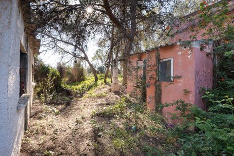 Villa a Godella, Valencia, Godella - € 699.999 | Ref: a748efc7-be37-46de-91c8-7fcdd853f3ef-DP1 - foto 3