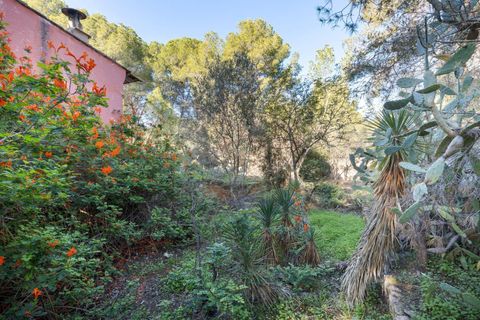 Villa a Godella, Valencia, Godella - € 699.999 | Ref: a748efc7-be37-46de-91c8-7fcdd853f3ef-DP1 - foto 10