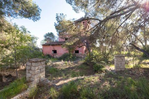 Helårsgrund i Campo Olivar, Valencia, Campo Olivar - € 699.999 | Ref: a748efc7-be37-46de-91c8-7fcdd853f3ef - foto 2