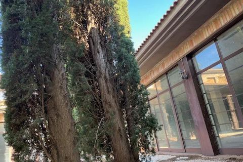 Erhvervsejendom i Almansa, Albacete, Almansa - € 1.200.000 | Ref: EXP11987/8930 - foto 15
