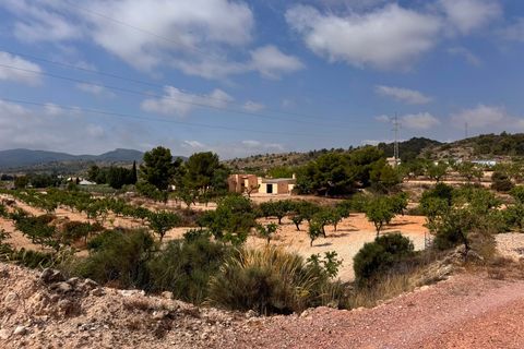 Villa i Monovar, Alicante, Monovar - € 259.995 | Ref: 3201 DNV0587 - foto 26