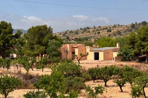 Villa i Monovar, Alicante, Monovar - € 259.995 | Ref: 3201 DNV0587 - foto 27