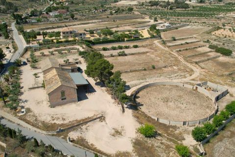 Landejendom i Monovar, Alicante, Monovar - € 395.000 | Ref: 3204 DNV0580 - foto 2