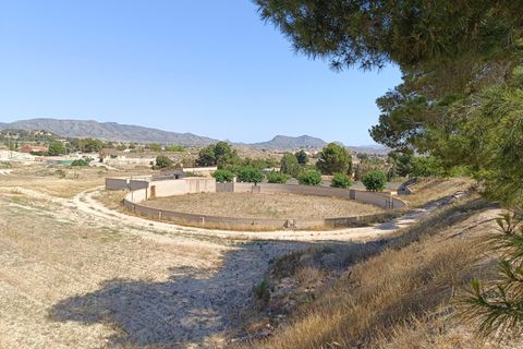 Landejendom i Monovar, Alicante, Monovar - € 395.000 | Ref: 3204 DNV0580 - foto 6