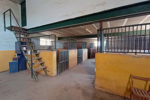 Landejendom i Monovar, Alicante, Monovar - € 395.000 | Ref: 3204 DNV0580 - foto 48