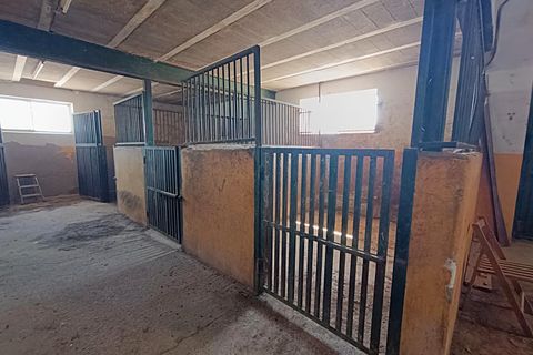 Landejendom i Monovar, Alicante, Monovar - € 395.000 | Ref: 3204 DNV0580 - foto 50