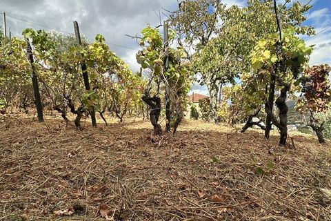 Byhus i Lamego, Viseu, Lamego - € 72.000 | Ref: 151654 - foto 6