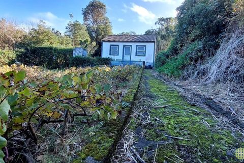Farm i Horta, Faial, Horta - € 72.000 | Ref: 1143 - foto 1