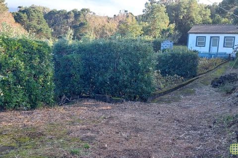 Farm i Horta, Faial, Horta - € 72.000 | Ref: 1143 - foto 2