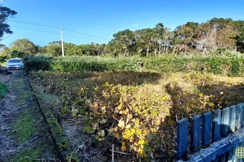 Farm i Horta, Faial, Horta - € 72.000 | Ref: 1143 - foto 4