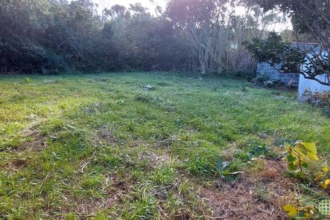 Farm i Horta, Faial, Horta - € 72.000 | Ref: 1143 - foto 7