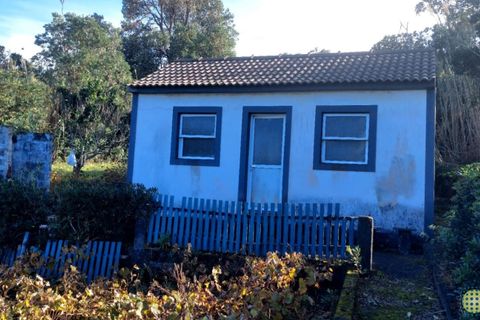Farm i Horta, Faial, Horta - € 72.000 | Ref: 1143 - foto 15