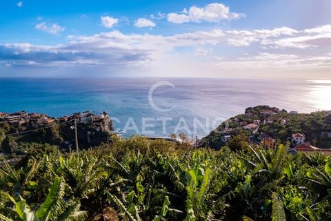 Villa a Ponta do Sol, Madeira, Ponta do Sol - € 1.950.000 | Ref: 1295 - foto 16