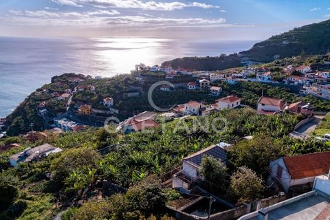 Villa a Ponta do Sol, Madeira, Ponta do Sol - € 1.950.000 | Ref: 1295 - foto 17