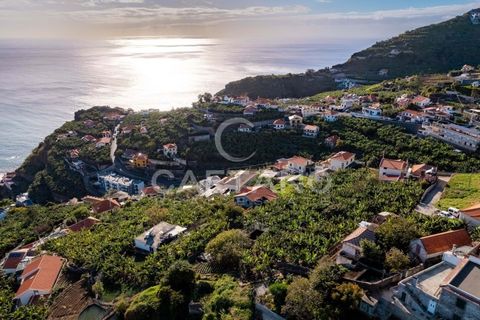 Villa a Ponta do Sol, Madeira, Ponta do Sol - € 1.950.000 | Ref: 1295 - foto 18
