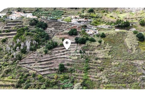 Helårsgrund i Ponta do Sol, Madeira, Ponta do Sol - € 450.000 | Ref: 3183 - foto 3