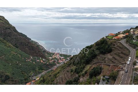 Helårsgrund i Ponta do Sol, Madeira, Ponta do Sol - € 450.000 | Ref: 3183 - foto 5