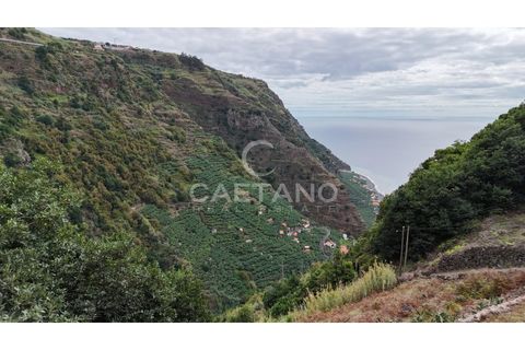 Helårsgrund i Ponta do Sol, Madeira, Ponta do Sol - € 450.000 | Ref: 3183 - foto 7