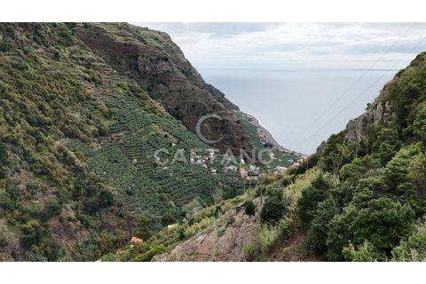 Helårsgrund i Ponta do Sol, Madeira, Ponta do Sol - € 450.000 | Ref: 3183 - foto 8