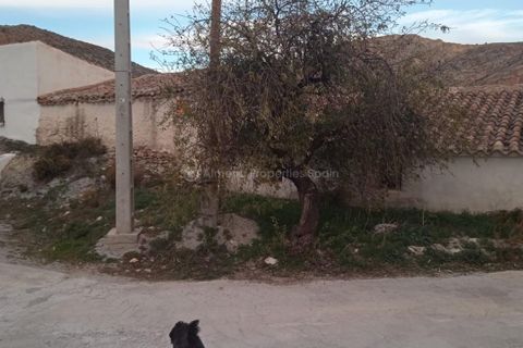 Farm hus i Oria, Almeria, Oria - € 86.000 | Ref: APS 1988 - foto 3