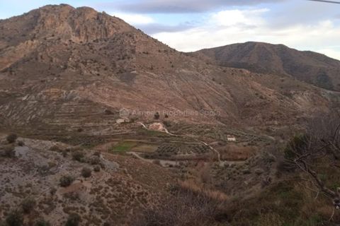 Farm hus i Oria, Almeria, Oria - € 86.000 | Ref: APS 1988 - foto 16