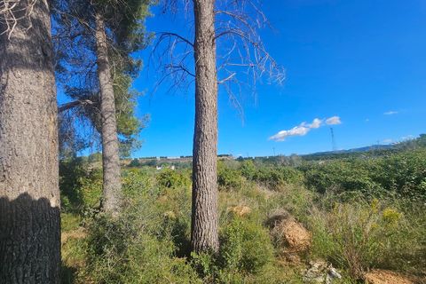 Masia a Canals, Valencia, Canals - € 120.000 | Ref: EB15225 - foto 10