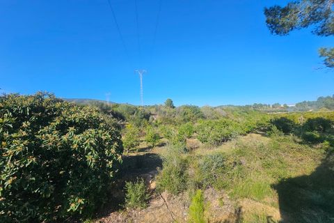 Masia a Canals, Valencia, Canals - € 120.000 | Ref: EB15225 - foto 29