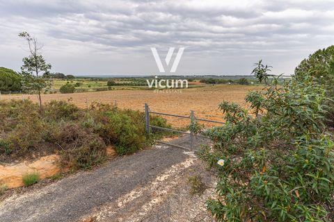 Villa en Niebla, Huelva, Niebla - € 80.000 | Ref: 1038 - photo 10