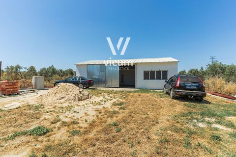 Villa i Niebla, Huelva, Niebla - € 255.000 | Ref: 1042 - foto 35