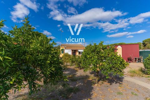 Villa i Bonares, Huelva, Bonares - € 140.000 | Ref: 1062 - foto 32