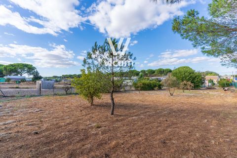 Villa i Bonares, Huelva, Bonares - € 140.000 | Ref: 1062 - foto 34