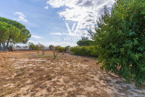 Villa i Bonares, Huelva, Bonares - € 140.000 | Ref: 1062 - foto 36