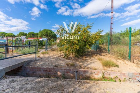 Villa i Bonares, Huelva, Bonares - € 140.000 | Ref: 1062 - foto 33