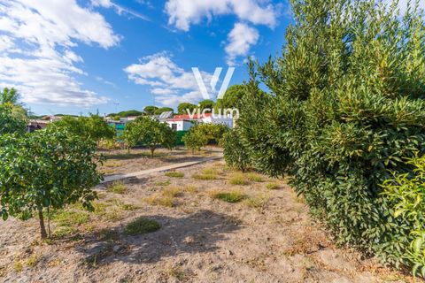 Villa i Bonares, Huelva, Bonares - € 140.000 | Ref: 1062 - foto 30