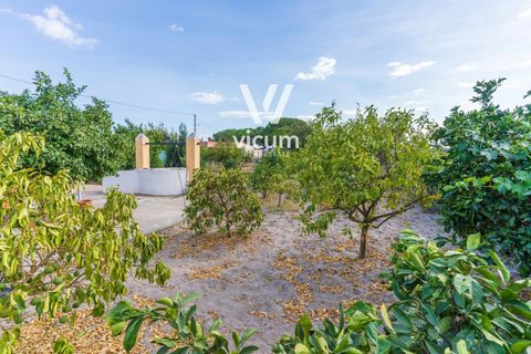 Villa i Bonares, Huelva, Bonares - € 140.000 | Ref: 1062 - foto 31