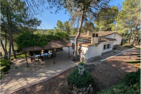 Landejendom i Sax, Alicante, Sax - € 315.000 | Ref: Mountain Villa - foto 29