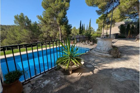 Landejendom i Sax, Alicante, Sax - € 315.000 | Ref: Mountain Villa - foto 39