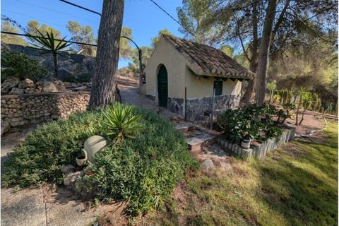 Landejendom i Sax, Alicante, Sax - € 315.000 | Ref: Mountain Villa - foto 28