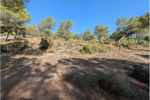 Landejendom i Sax, Alicante, Sax - € 315.000 | Ref: Mountain Villa - foto 40