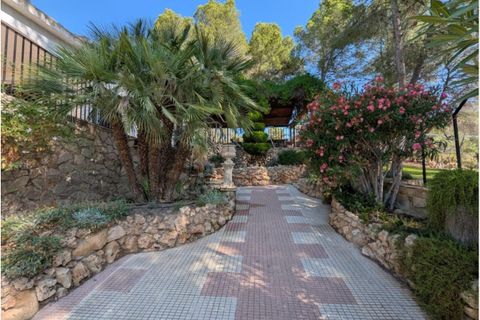 Landejendom i Sax, Alicante, Sax - € 315.000 | Ref: Mountain Villa - foto 34