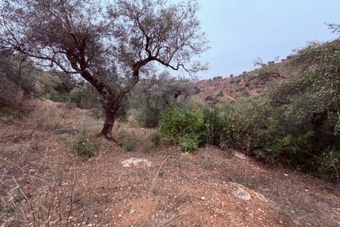 Landejendom i Colmenar, Malaga, Colmenar - € 165.000 | Ref: ID4402 - foto 20
