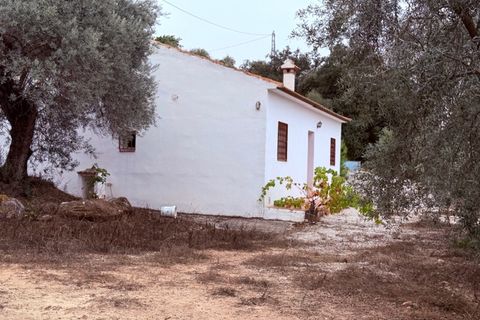 Landejendom i Colmenar, Malaga, Colmenar - € 165.000 | Ref: ID4402 - foto 16