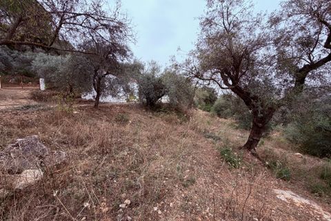 Landejendom i Colmenar, Malaga, Colmenar - € 165.000 | Ref: ID4402 - foto 19