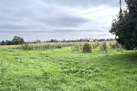 Villa a Pernumia, Padua, Pernumia - € 185.000 | Ref: VM185PERNUMIA - foto 4