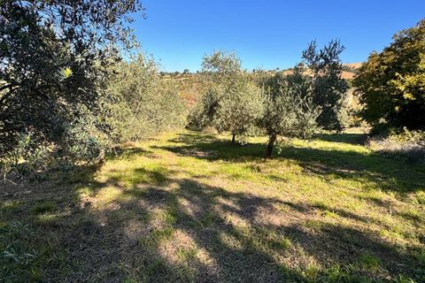 Villa a Montegiorgio, Fermo, Montegiorgio - € 60.000 | Ref: MG2413 - foto 10