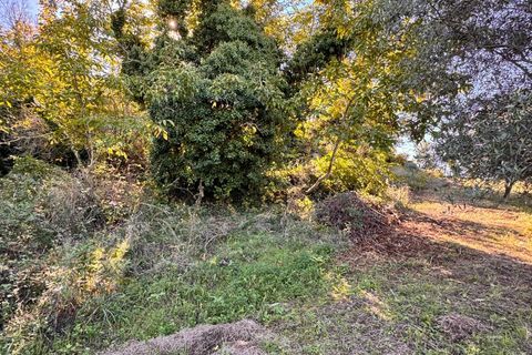 Villa a Montegiorgio, Fermo, Montegiorgio - € 60.000 | Ref: MG2413 - foto 11