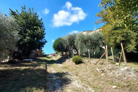Villa i Falerone, Fermo, Falerone - € 135.000 | Ref: MG2414 - foto 7