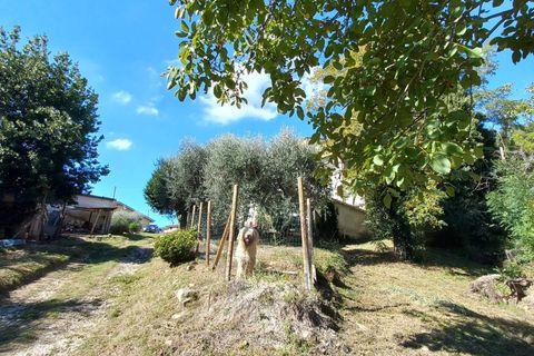 Villa i Falerone, Fermo, Falerone - € 135.000 | Ref: MG2414 - foto 21